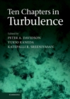 Image for Ten Chapters in Turbulence