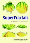 Image for Superfractals