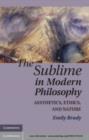 Image for Sublime in Modern Philosophy: Aesthetics, Ethics, and Nature