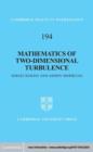 Image for Mathematics of Two-Dimensional Turbulence