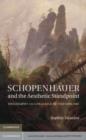 Image for Schopenhauer and the Aesthetic Standpoint: Philosophy as a Practice of the Sublime