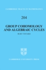 Image for Group Cohomology and Algebraic Cycles