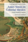 Image for Asian Slaves in Colonial Mexico: From Chinos to Indians