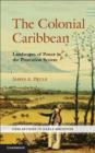 Image for The colonial Caribbean: landscapes of power in the plantation system