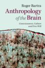 Image for Anthropology of the brain: consciousness, culture, and free will