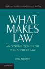 Image for What makes law: an introduction to the philosophy of law