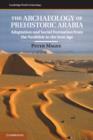 Image for The archaeology of prehistoric Arabia: adaptation and social formation from the neolithic to the iron age