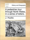 Image for A Pedestrian Tour Through North Wales, in a Series of Letters.