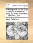 Image for Walsingham; Or, the Pupil of Nature. a Domestic Story. by Mary Robinson, ... Volume 3 of 4
