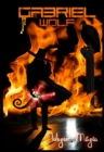Image for Idegen magia