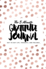 Image for The 5 Minute Gratitude Journal : Day-To-Day Life, Thoughts, and Feelings (6x9 Softcover Journal)