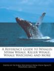 Image for A Reference Guide to Whales