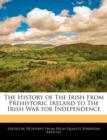 Image for The History of the Irish from Prehistoric Ireland to the Irish War for Independence