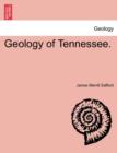 Image for Geology of Tennessee.