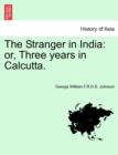 Image for The Stranger in India