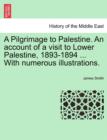 Image for A Pilgrimage to Palestine. an Account of a Visit to Lower Palestine, 1893-1894 ... with Numerous Illustrations.