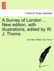 Image for A Survey of London ... New Edition, with Illustrations, Edited by W. J. Thoms.