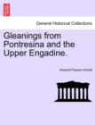 Image for Gleanings from Pontresina and the Upper Engadine.