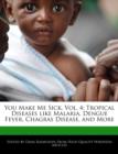 Image for Sick Shit, Vol. 4 : Tropical Diseases Like Malaria, Dengue Fever, Chagras Disease, and More