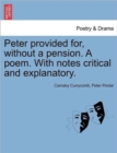 Image for Peter Provided For, Without a Pension. a Poem. with Notes Critical and Explanatory.