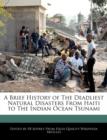 Image for A Brief History of the Deadliest Natural Disasters from Haiti to the Indian Ocean Tsunami