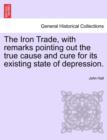 Image for The Iron Trade, with Remarks Pointing Out the True Cause and Cure for Its Existing State of Depression.