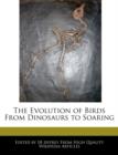 Image for The Evolution of Birds from Dinosaurs to Soaring