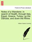 Image for Notes of a Wanderer, in Search of Health, Through Italy, Egypt, Greece, Turkey, Up the Danube, and Down the Rhine.