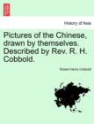Image for Pictures of the Chinese, Drawn by Themselves. Described by REV. R. H. Cobbold.