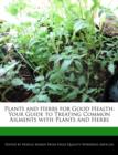 Image for Plants and Herbs for Good Health : Your Guide to Treating Common Ailments with Plants and Herbs