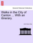 Image for Walks in the City of Canton ... With an itinerary.
