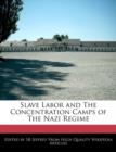 Image for Slave Labor and the Concentration Camps of the Nazi Regime
