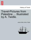 Image for Travel-Pictures from Palestine ... Illustrated by A. Twidle.