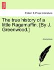 Image for The True History of a Little Ragamuffin. [By J. Greenwood.]