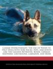 Image for Canine Hydrotherapy : The Use of Water to Help Dogs with Sore Backs, Hips, and Joints Like the Golden Retriever, Boxer, German Shepherd, Greyhound, Labrador, and More