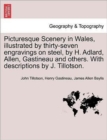 Image for Picturesque Scenery in Wales, Illustrated by Thirty-Seven Engravings on Steel, by H. Adlard, Allen, Gastineau and Others. with Descriptions by J. Tillotson.