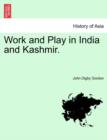 Image for Work and Play in India and Kashmir.