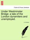 Image for Under Westminster Bridge : A Tale of the London Dynamiters and Unemployed.