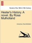 Image for Hester&#39;s History. a Novel. by Rosa Mulholland