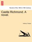 Image for Castle Richmond. a Novel. Vol. I.