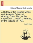 Image for A History of the Copper Mines and Newgate Prison, at Granby, Conn. Also, of the Captivity of D. Hays, of Granby, by the Indians, in 1707.