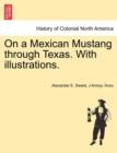 Image for On a Mexican Mustang through Texas. With illustrations.