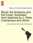 Image for Brazil; the Amazons and the Coast. Illustrated from sketches by J. Wells Champneys and others
