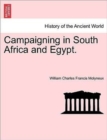 Image for Campaigning in South Africa and Egypt.