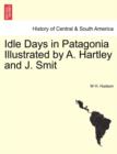 Image for Idle Days in Patagonia Illustrated by A. Hartley and J. Smit