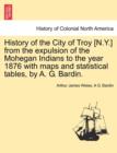 Image for History of the City of Troy [N.Y.] from the Expulsion of the Mohegan Indians to the Year 1876 with Maps and Statistical Tables, by A. G. Bardin.