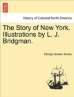 Image for The Story of New York. Illustrations by L. J. Bridgman.