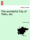 Image for The Wonderful City of Tokio, Etc.