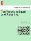 Image for Ten Weeks in Egypt and Palestine.