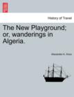 Image for The New Playground; or, wanderings in Algeria.
